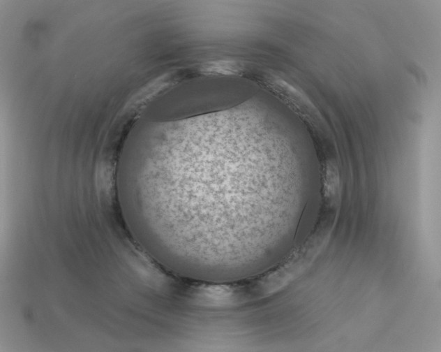 X0000113180409200909181858