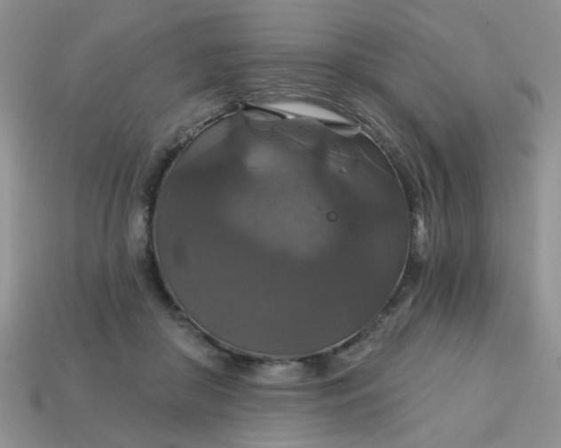 X0000113180410200909181858