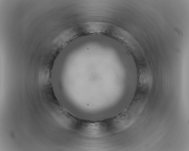 X0000113180411200909181858