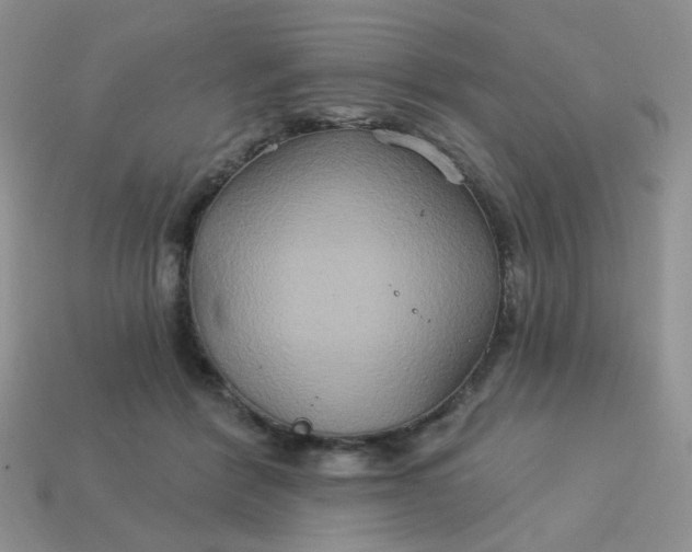 X0000113180412200909181858