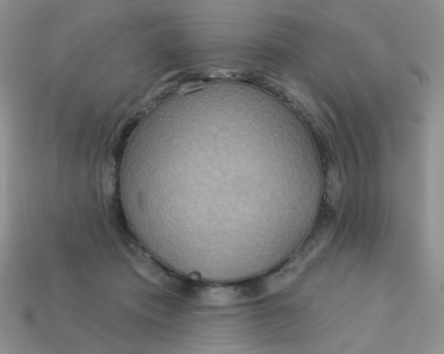 X0000113180413200909181858