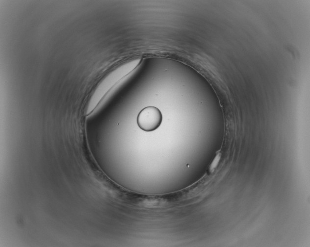 X0000113180415200909181858