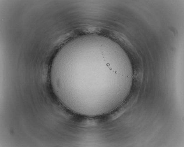 X0000113180416200909181858