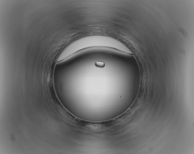 X0000113180417200909181858