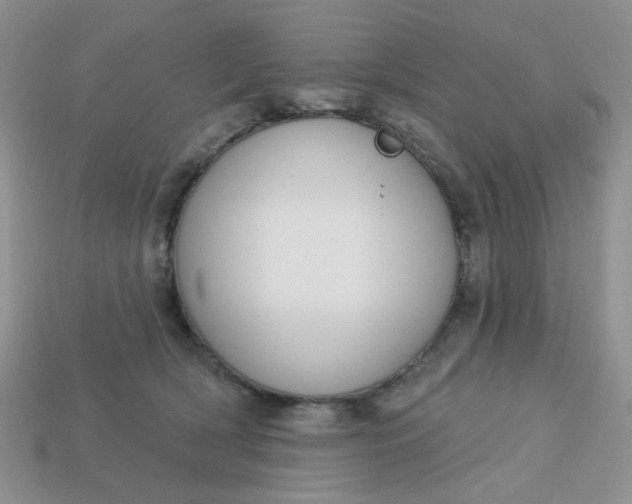 X0000113180418200909181858