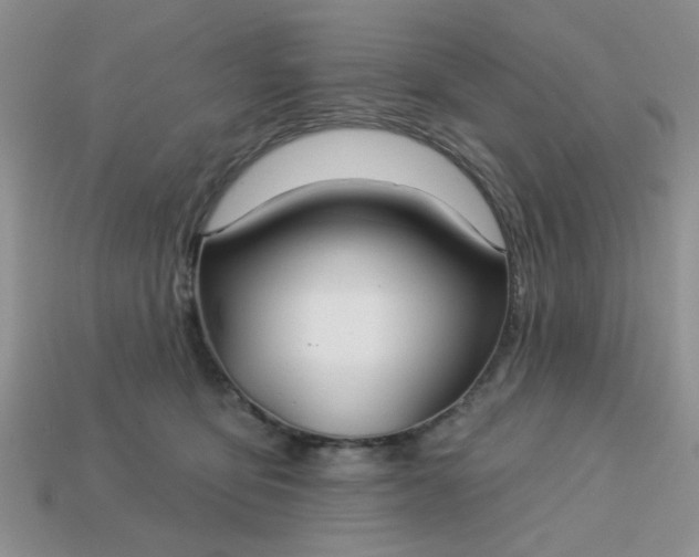 X0000113180419200909181858