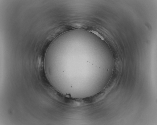 X0000113180420200909181858