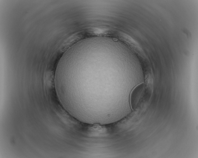 X0000113180421200909181858