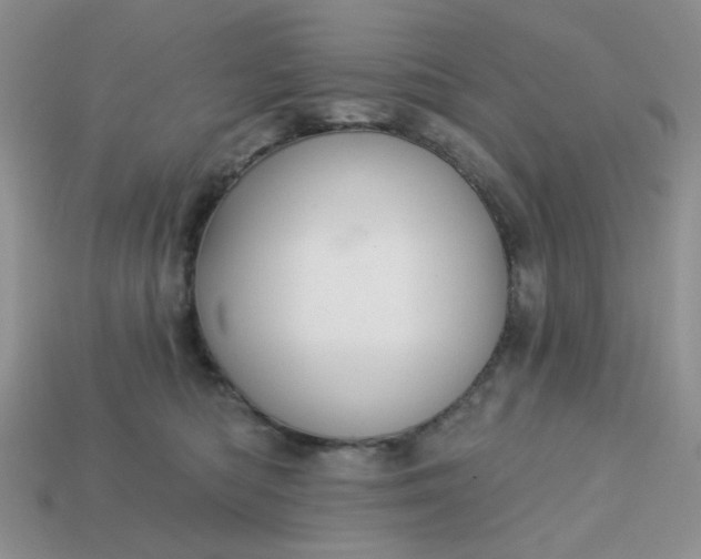 X0000113180422200909181858