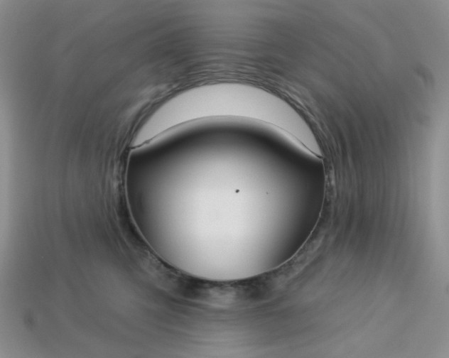 X0000113180423200909181858