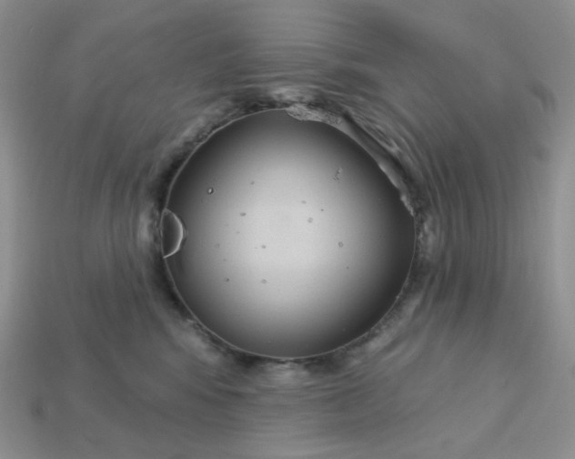 X0000113180424200909181858