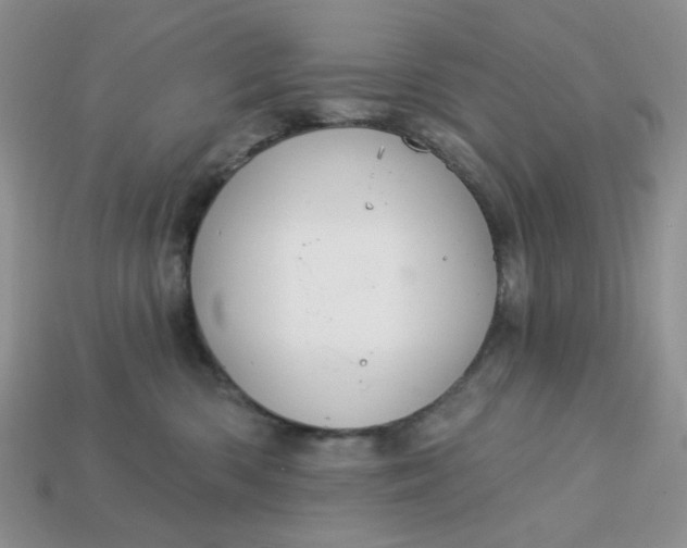 X0000113180426200909181858