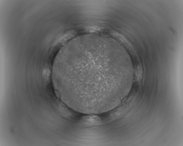 X0000113180427200909181858