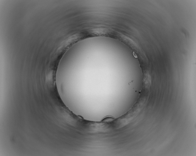 X0000113180428200909181858