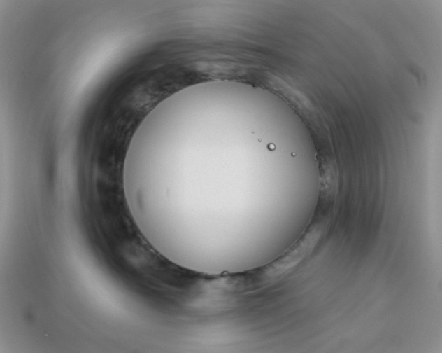 X0000113180430200909181858