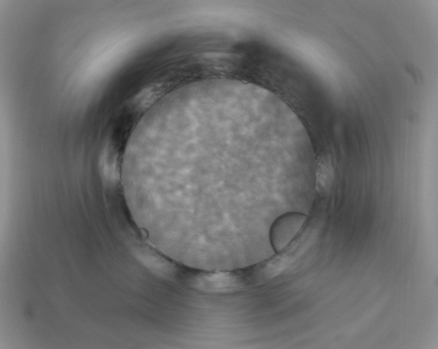 X0000113180431200909181857