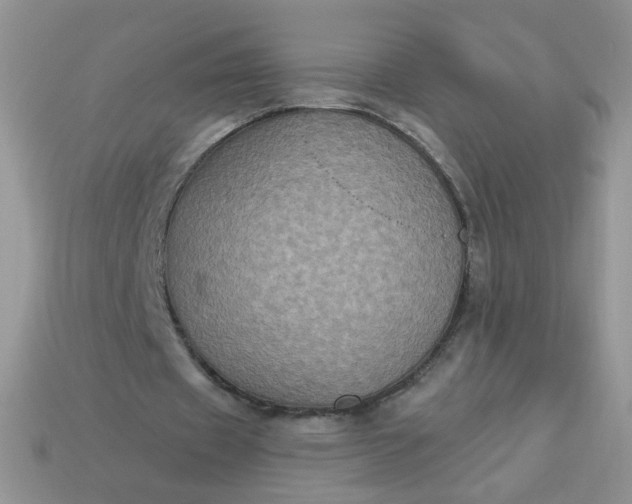 X0000113180433200909181857