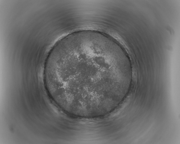 X0000113180434200909181857