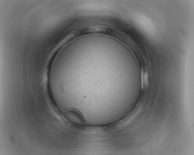 X0000113180435200909181857