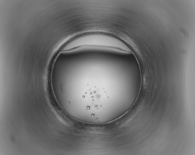 X0000113180436200909181857