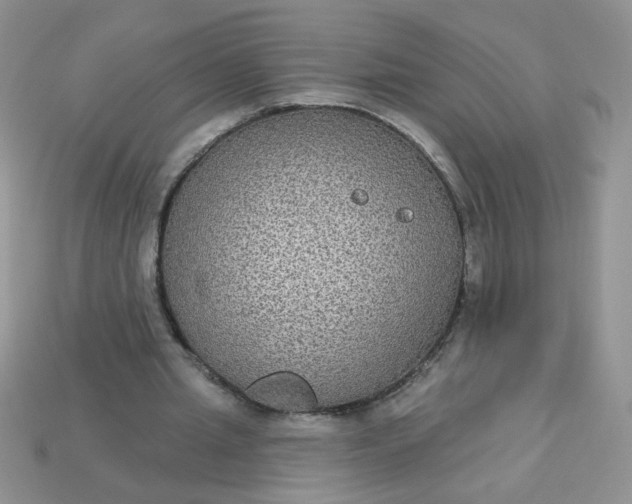 X0000113180437200909181857