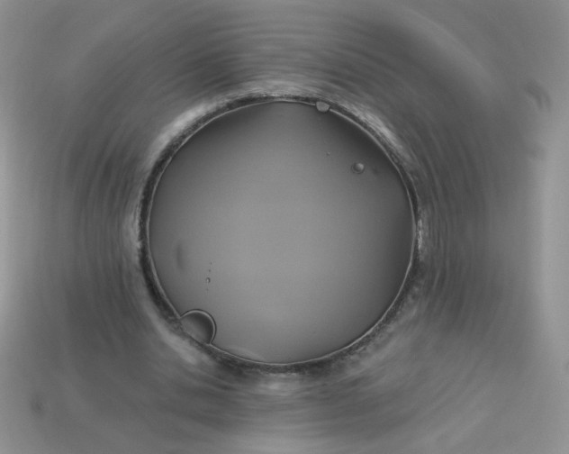 X0000113180438200909181857