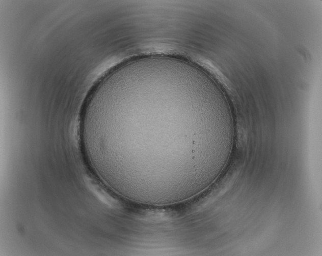 X0000113180439200909181857