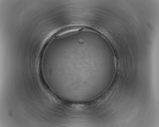 X0000113180440200909181857