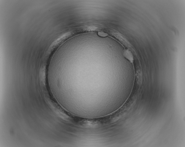 X0000113180442200909181857