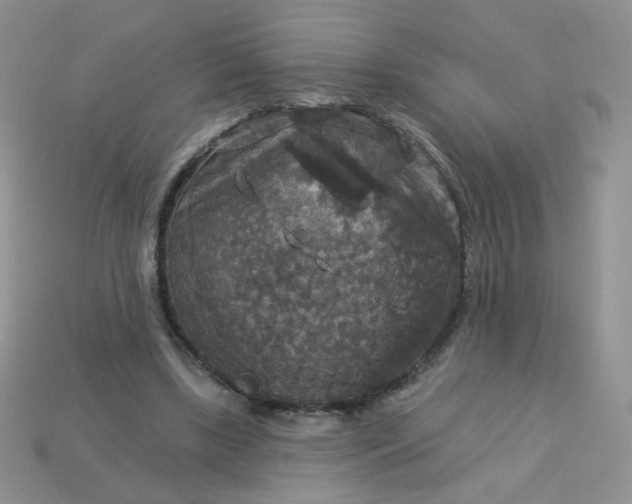 X0000113180443200909181857