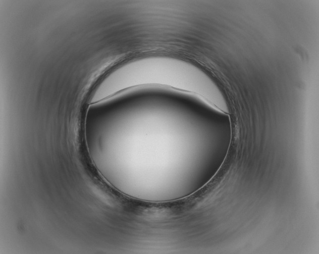 X0000113180444200909181857