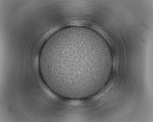 X0000113180445200909181857