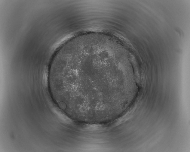 X0000113180446200909181857