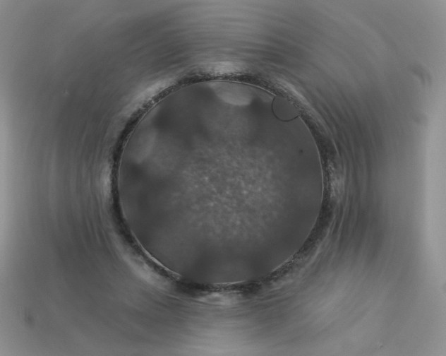 X0000113180447200909181857