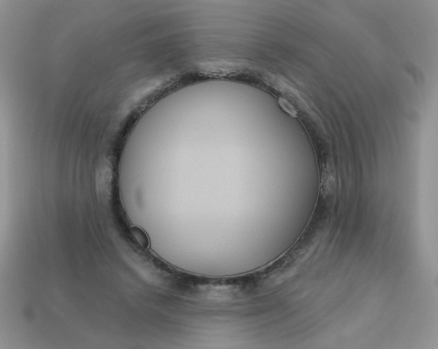 X0000113180448200909181857