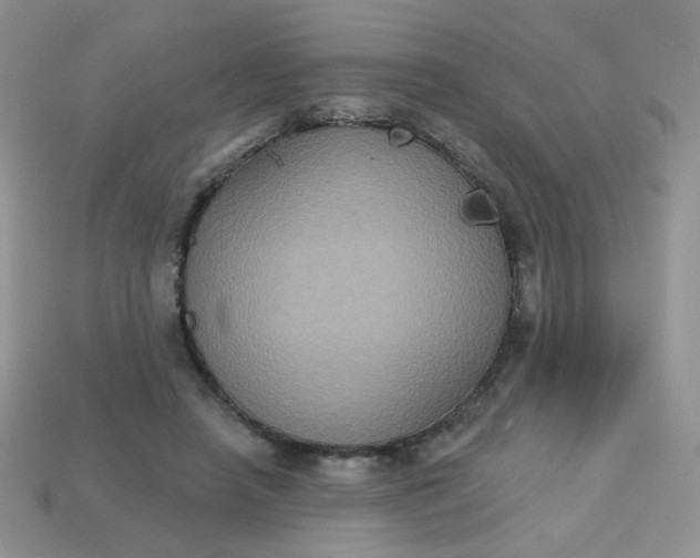 X0000113180450200909181857