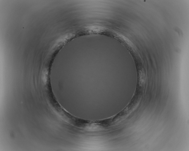 X0000113180451200909181857