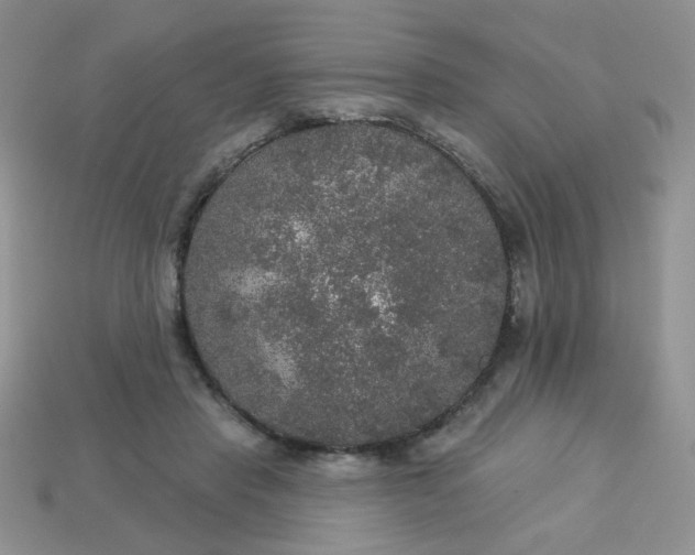 X0000113180453200909181857