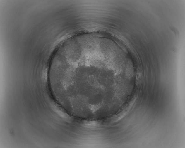 X0000113180454200909181857