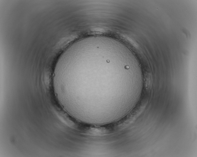 X0000113180455200909181857