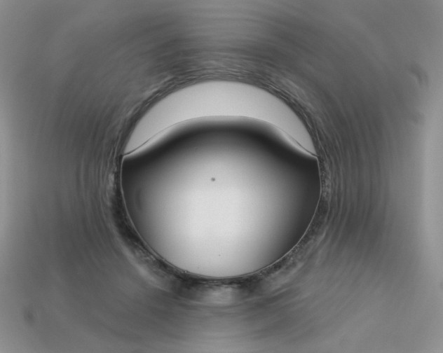 X0000113180456200909181857