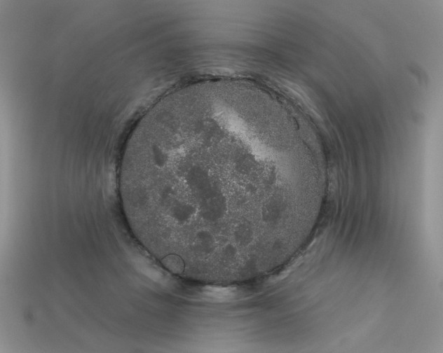 X0000113180457200909181857