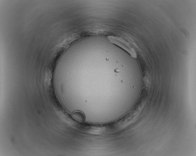 X0000113180458200909181857