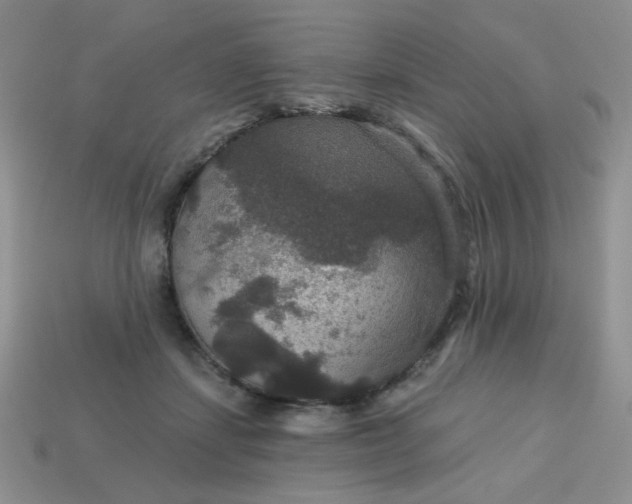 X0000113180459200909181857