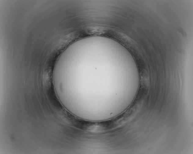 X0000113180460200909181857