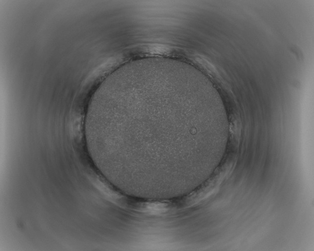 X0000113180462200909181857