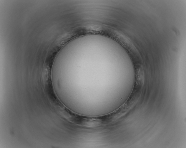 X0000113180463200909181857