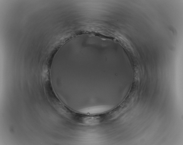 X0000113180465200909181857