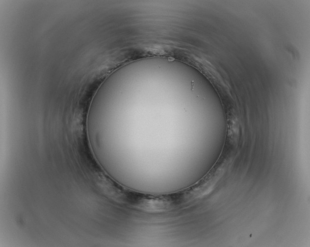 X0000113180466200909181857