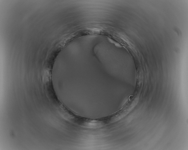 X0000113180467200909181857